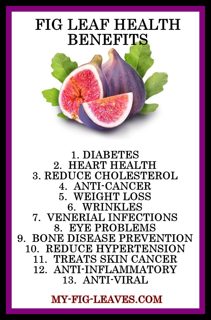 Fig Leaf Benefits Picture